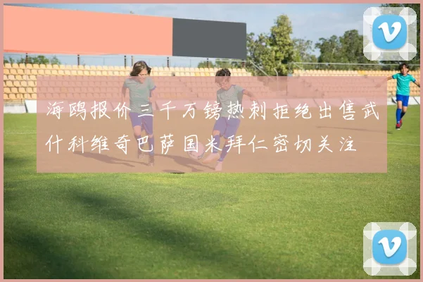 海鸥报价三千万镑热刺拒绝出售武什科维奇巴萨国米拜仁密切关注